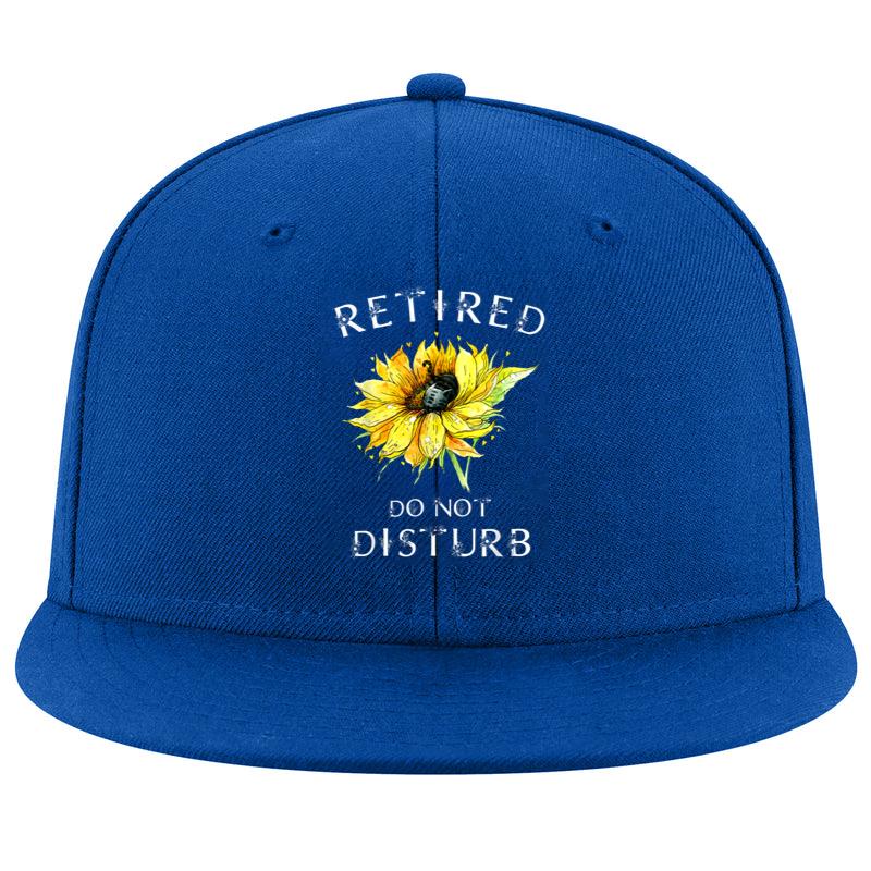 Do Not Disturb Retirement Retired Cat Cap